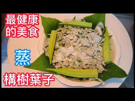 構樹葉的功效|【構樹葉】構樹葉：大自然中的抗炎秘方！認識它的神。